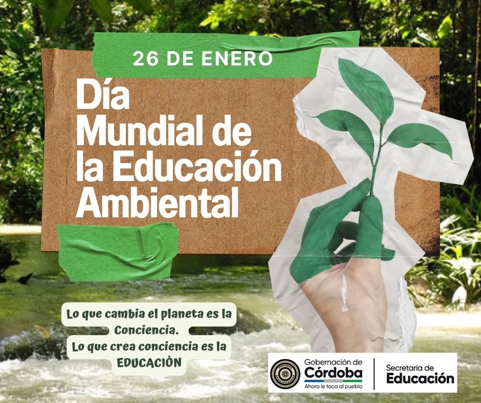 Día Mundia De La Educación Mundial